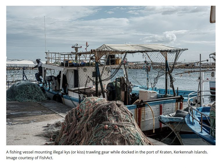Article: Two Pictures on Mongabay