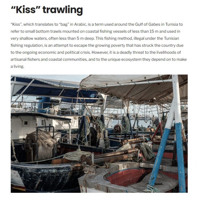 Web: Images on the website + report